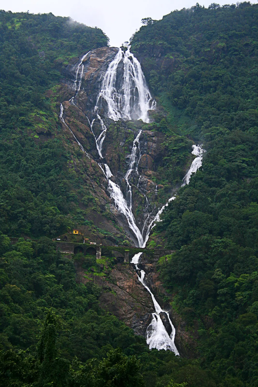 Dudhsagar & Hinterland Goa travel guide