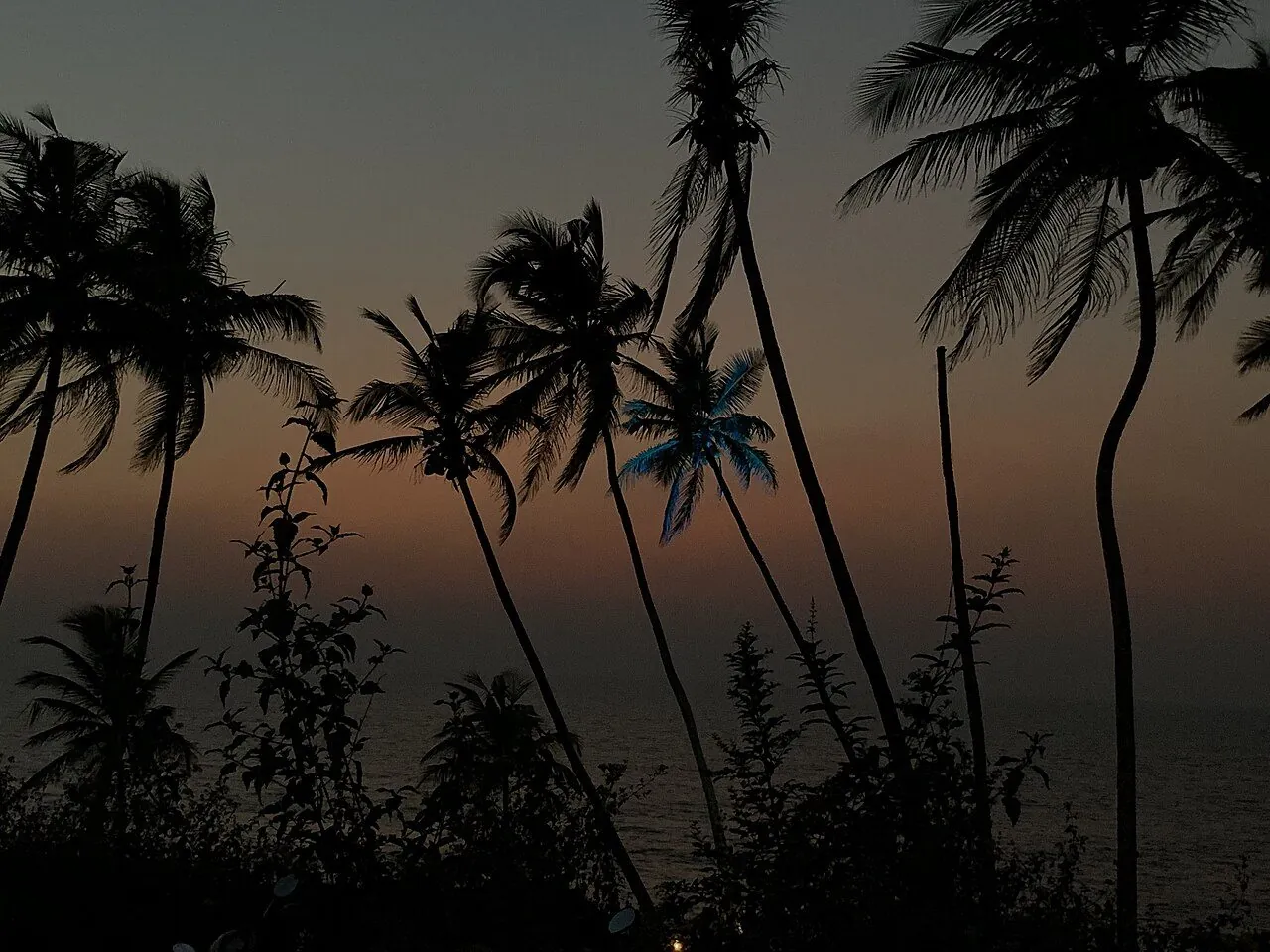 South Goa Goa travel guide