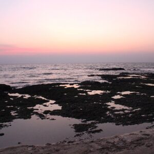 Solo Goa Discovery – 3 Nights / 4 Days