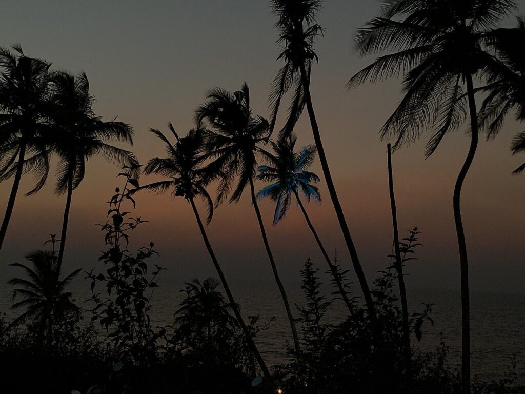 Best Time to Visit Goa: Weather, Seasons & Month-by-Month Planning - Goa travel guide