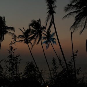 Essential Goa Escape – 3 Nights / 4 Days