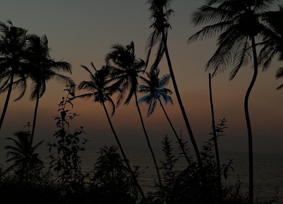 Best Time to Visit Goa: Weather, Seasons & Month-by-Month Planning